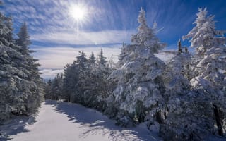Картинка зима, сугробы, лес, снег