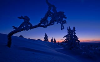 Картинка закат, зима, деревья, сугробы