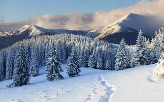 Картинка зима, следы, деревья, горы