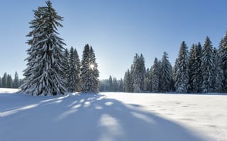 Картинка зима, деревья, пейзаж, снег, сугробы