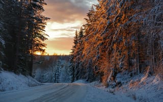 Картинка Швеция, Вермланд, дорога, зима