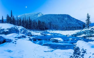 Картинка Зима, Кананаскис, снег, деревья