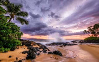 Картинка закат, пальмы, море, берег
