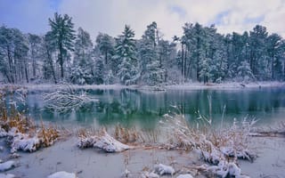 Картинка озеро, зима, пейзаж, Миссури, лес, деревья