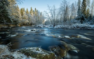 Картинка зима, река, деревья, снег