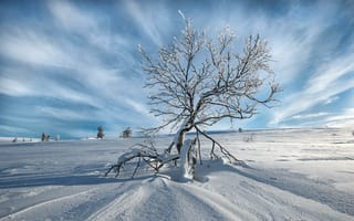 Картинка зима, сугробы, снег, поле