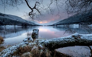 Картинка зима, деревья, горы, озеро