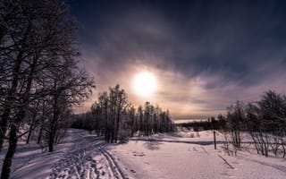 Картинка закат, пейзаж, деревья, снег