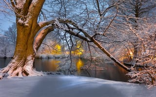 Обои зима, деревья, закат, река
