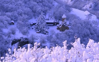 Обои зима, деревья, снег, дома