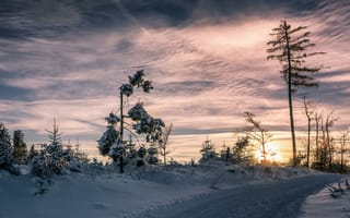 Картинка закат, деревья, дорога, зима