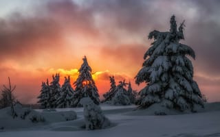 Картинка закат, зима, пейзаж, деревья