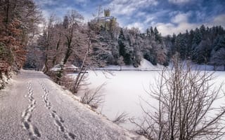 Картинка Castle Trakoscan, замок, зима, деревья, дорога, снег, Croatia, пейзаж, водоём