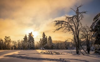 Картинка закат, сугробы, зима, деревья