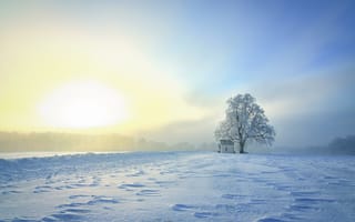 Картинка зима, снег, сугробы, поле