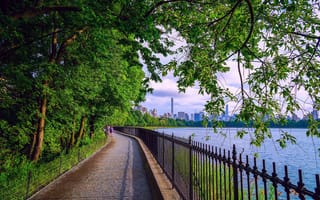 Картинка Нью-Йорк, Центральный парк города, США