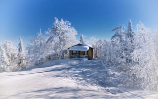 Картинка зима, деревья, холм, снег