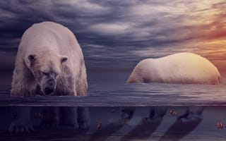 Картинка белый медведь, полярный медведь, арт