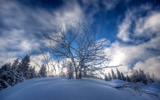 Картинка зима, снег, сугробы, холм