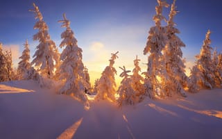 Картинка зима, сугробы, закат, снег