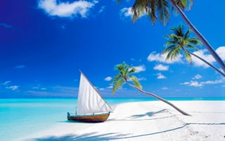 Картинка море, пальмы, Мальдивы, остров, пляж, песок, тропики, лодка