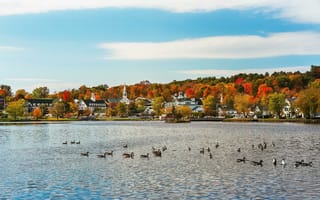 Картинка Мередит-Бей-Коффи-Хаус в Штате Нью-Гэмпшир, пейзаж, водоём, осень