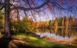 Картинка Финляндия, осень, озеро