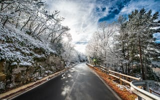Обои зима, дорога, деревья, снег