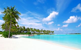 Картинка тропики, пляж, Мальдивы, море