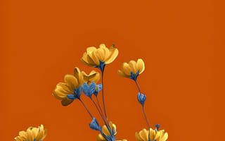 Картинка цветы, желтый, айфон, природа, мобильный, цветочный, 4k, оранжевый, желтые цветы, синие листья