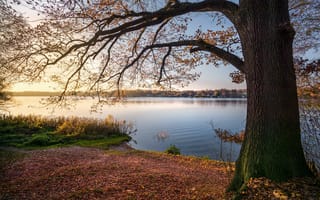Картинка осень, озеро, закат, деревья