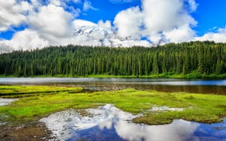 Картинка Mt Rainier National Park, лес, река, горы