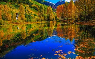 Картинка Колорадо, озеро, осень, Теллур, пруд, пейзаж, деревья, дом