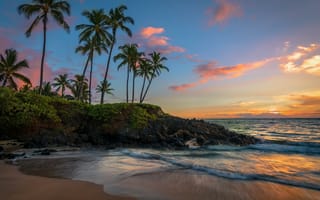 Картинка Maui, пейзаж, Hawaii, пляж, море, закат, пальмы