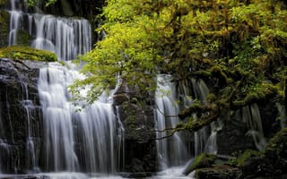 Картинка Purakanui Falls, South island, New Zealand, водопад