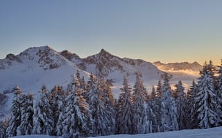 Картинка зима, горы, деревья, закат