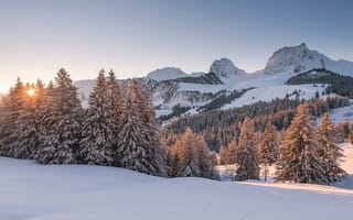 Картинка зима, деревья, пейзаж, закат, горы, Швейцария