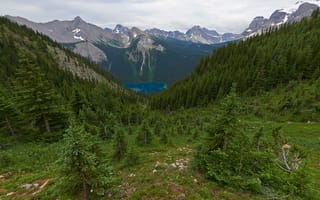 Картинка Британская Колумбия, Провинциальный парк, Озеро, лес, пейзаж, Marvel Lake, трава, зеленый, Канада