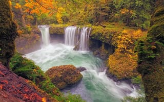 Картинка осень, Вашингтон, лес, Осенние краски, Ущелье реки Колумбия, скалы, река, деревья, пейзаж, водопад, Орегон