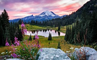 Обои Tipsoo Lake, цветы, закат, Mount Rainier National Park, деревья, озеро, пейзаж, камни, горы
