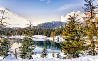 Картинка зима, деревья, озеро, горы