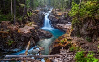 Картинка Национальный парк Маунт Рейнир, пейзаж, Mt Rainier National Park, скалы, лес, водопад, штат Вашингтон, деревья, речка