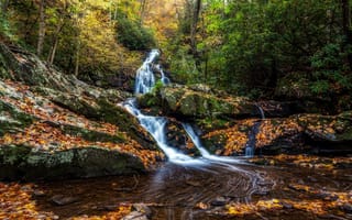 Картинка Smoky Mountains National Park, деревья, пейзаж, штат Теннесси, лес, осень, водопад, Грейт Смоки Маунтинс Парк, скалы