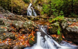 Картинка Smoky Mountains National Park, штат Теннесси, Грейт Смоки Маунтинс Парк, осень