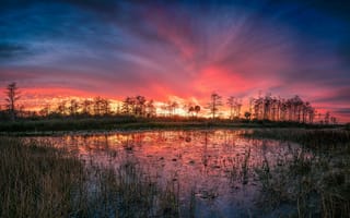 Картинка Florida, деревья, озеро, пейзаж, закат