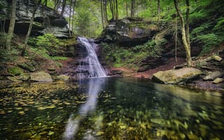 Обои Ricketts Glen State Park, природа, Риккетс Глен Стейт Парк, Pennsylvania, скалы, деревья, водопад