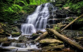 Картинка Ricketts Glen State Park, Pennsylvania, природа, водопад, деревья, Риккетс Глен Стейт Парк, скалы