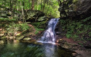 Обои Ricketts Glen State Park, Риккетс Глен Стейт Парк, водопад, скалы, деревья, Pennsylvania, природа