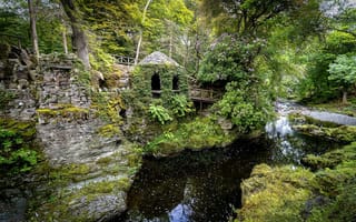 Картинка Лесной парк Толлимор, Северная Ирландия
