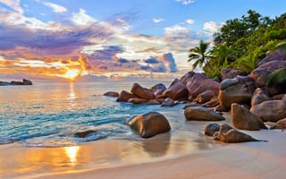 Картинка тропики, остров, Сейшелы, море